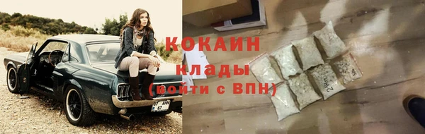 прущие грибы Белоозёрский
