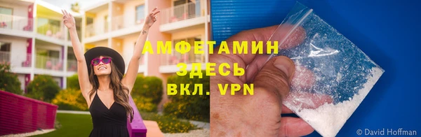 прущие грибы Белоозёрский