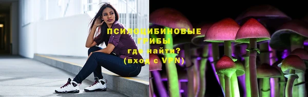 2c-b Сосновка