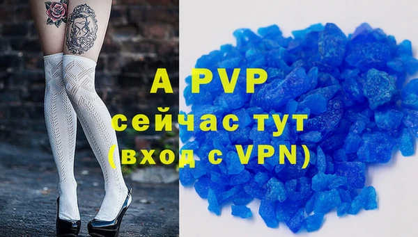 гашик Богданович