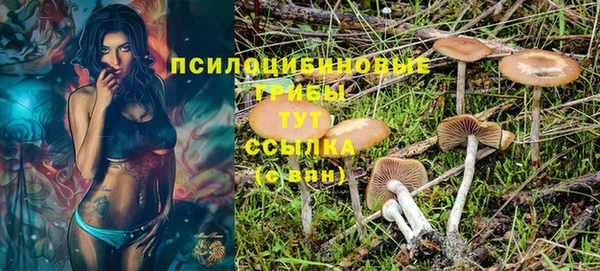 метадон Беломорск
