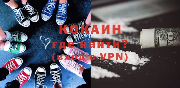 индика Сосновый Бор