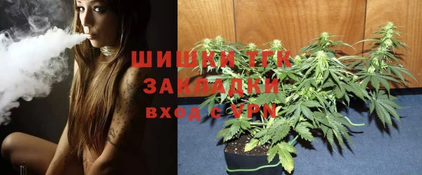 гашик Богданович