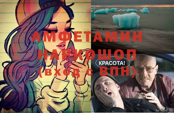 гашик Богданович