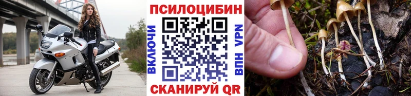 Галлюциногенные грибы GOLDEN TEACHER  Верхотурье 